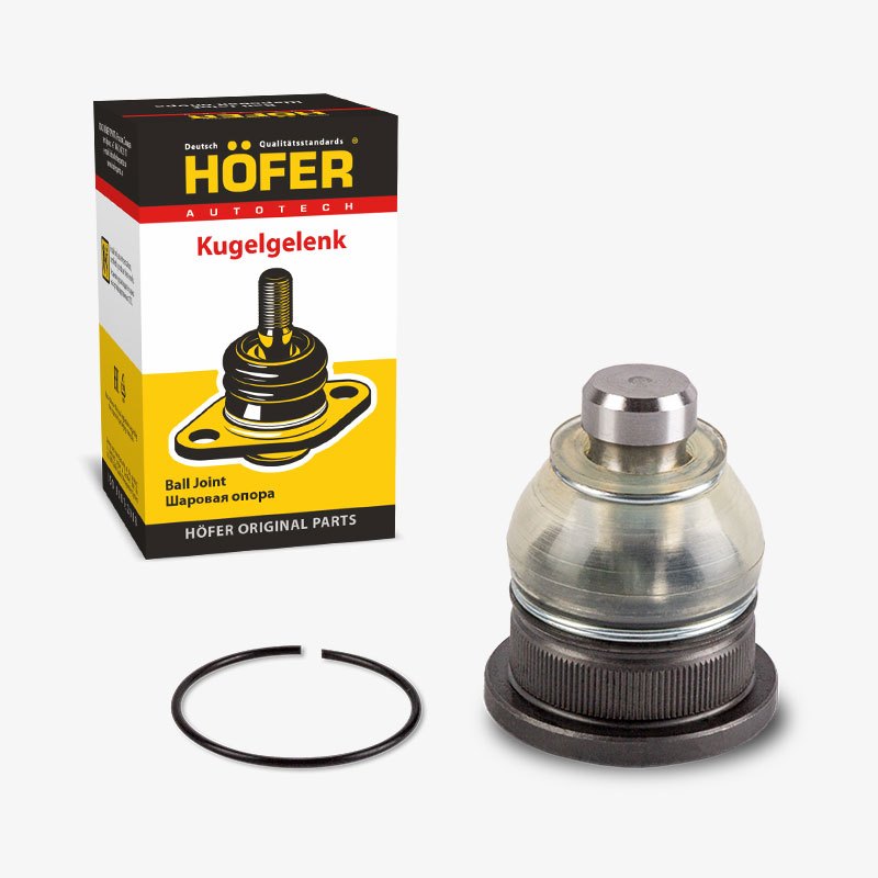 HF815516